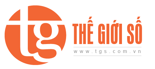 Giới thiệu về công ty Thế Giới Số